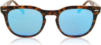 Spektre Memento MSAM2 Womens Sunglasses Tortoiseshell Size 48