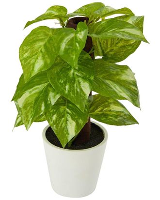 Nearly Natural 9In Pothos Artificial Plant In White Planter (Real Touch)