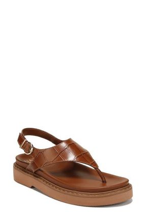 Naturalizer Laurel Slingback Platform Sandal in Caramel Brown Croc Embossed at Nordstrom, Size 11
