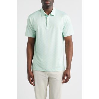 Swannies Springs Leaf Print Performance Golf Polo in Mint at Nordstrom, Size X-Large