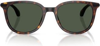 Moncler Kora 53mm Polarized Oval Sunglasses in Havana /Polar Solid Green at Nordstrom