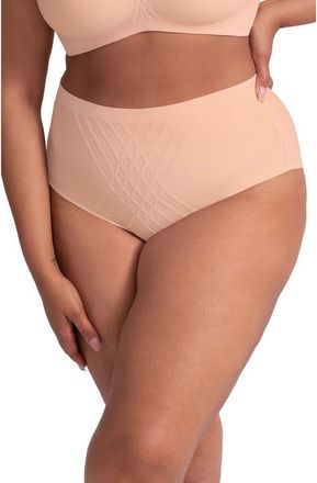 Honeylove Silhouette Shaping Briefs in Rose Tan at Nordstrom, Size 2 X