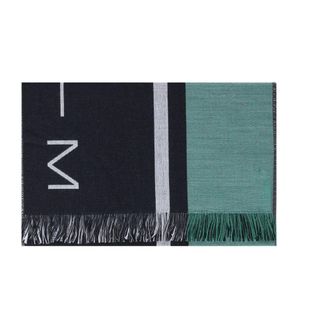 Max Mara Accessoires, Dames, Veelkleurig, ONE Size, Winter Scarves