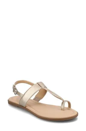 Journee Collection Gerra Toe Loop Sandal in Champagne at Nordstrom Rack, Size 6.5