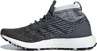 adidas (WMNS) adidas UltraBoost All Terrain Grey Carbon F36129