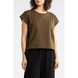 Eileen Fisher Crewneck Box Top in Branch at Nordstrom Rack, Size Xx-Small