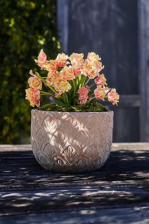 Terrain Paloma Ceramic Bowl Planter, 18