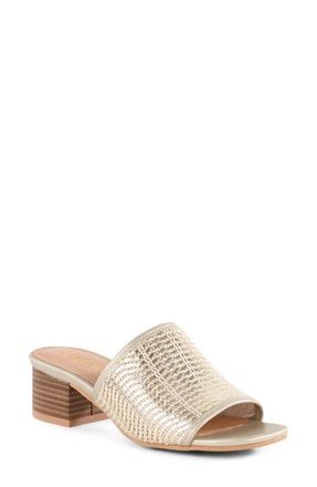 Seychelles Pepper Slide Sandal in Light Gold at Nordstrom, Size 7.5