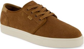 Toms Carlo 2.0 Sneaker in Dark Brown at Nordstrom, Size 11.5