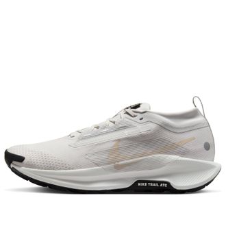 Nike Pegasus Trail 5 Gore-Tex Vast Grey Sanddrift FQ0908-010