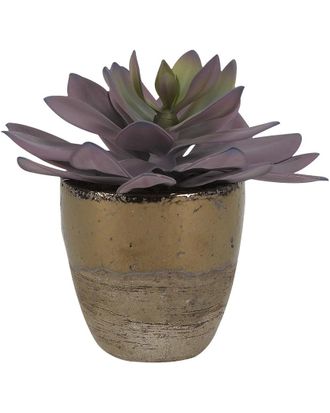 D&W Silks Frosted Pink Echeveria In Rustic Gold Ceramic Planter