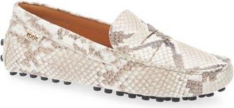 Tod's Gommino Snakeskin Embossed Driving Loafer in Roccia at Nordstrom, Size 10Us