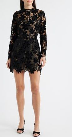 Lucy Paris Zia Velvet Floral Lace Long Sleeve Cocktail Minidress in Black at Nordstrom Rack, Size X-Small