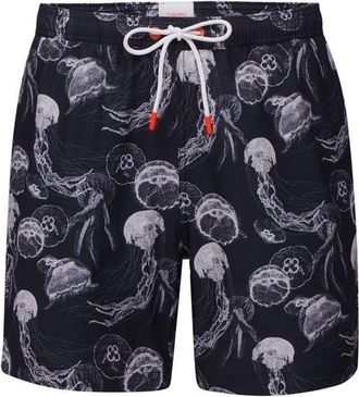 Swims Breeze Swim Trunks in Midnight at Nordstrom, Size Xx-Large