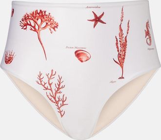 Agua Bendita Braga de bikini Magdalena estampada