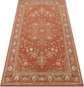 RugsX Alfombra De Lana Soho 477.01.la301 Osta Adorno, Marco Natural Terracota / Beige Orange 240x340 Cm