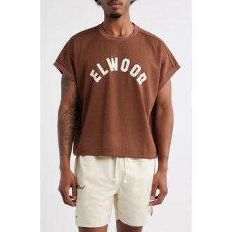 Elwood Logo Mesh Graphic T-Shirt in Brown at Nordstrom, Size Medium