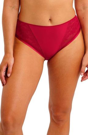 Fantasie Illusion Full Figure Mesh Briefs in Red at Nordstrom, Size X-Small