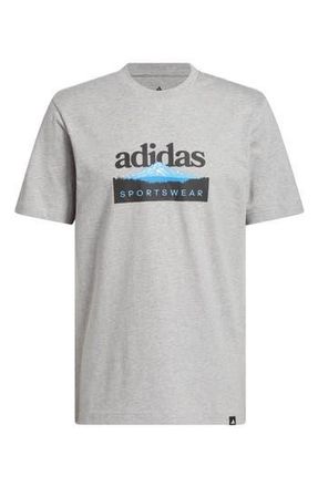 adidas Mountain Sportswear Graphic T-Shirt in Medium Grey Heather at Nordstrom Rack, Size Xx-Large R