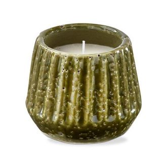 Tag Santa Cruz Citronella Scented Candle in Terra Cotta Pot in Green at Nordstrom