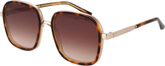 Sandro Sandro Zonnebril SD6050 170 54