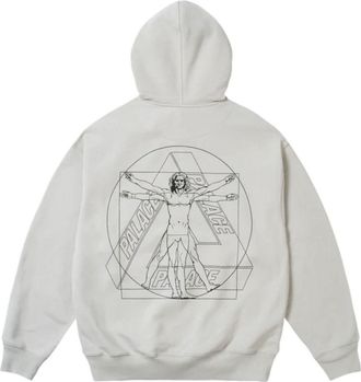 Palace Paltruvian Tri Hoodie Concrete Grey P30HD044