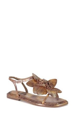 Diba Per Shing Sandal in Blush at Nordstrom Rack, Size 6.5