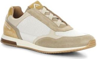Ambitious 13956 Low Top Sneaker in Beige/Off White at Nordstrom Rack, Size 10.5Us / 44Eu