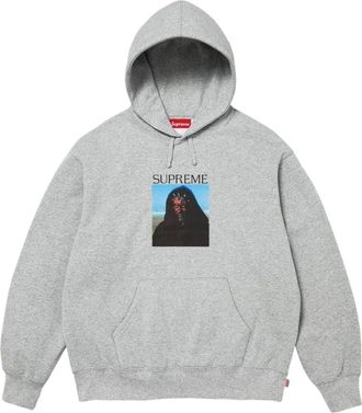 SUPREME FW26 Sith Hooded Sweatshirt Heather Grey FW26SW79-HEATHER-GREY
