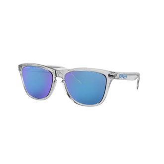 Oakley Accessoires, unisex, Grijs, ONE Size, Oo 9013 Frogskins