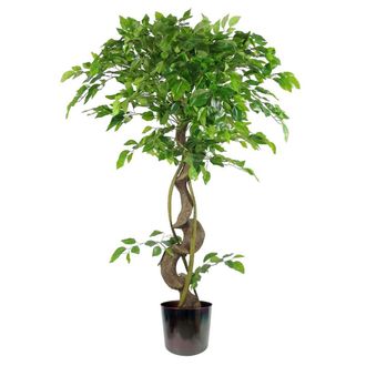 Leaf Artificial Japanese Fruticosa Ficus Tree Rainbow 120cm in Green