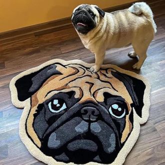 OEM Alfombra Para Mascotas Con Retrato - Alfombra Personalizada De Forma Irregular Para Perros Y Gatos - Regalo De Recuerdo (60 60 Cm)