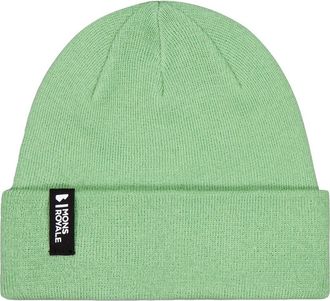 Mons Royale Mccloud Merino Beanie in Matcha at Nordstrom