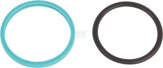 OEM Junta 5160580n Raico 5160580n