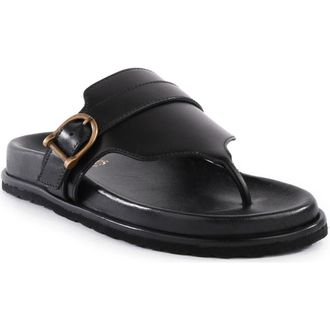 Seychelles Santa Cruz Sandal in Black at Nordstrom Rack, Size 8.5