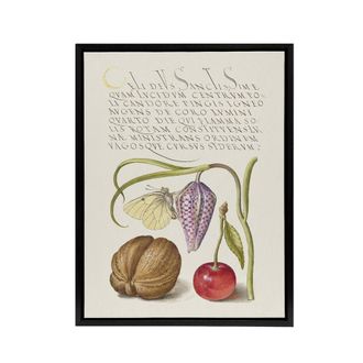 Artery8 Snakeshead Walnut & Cherry Calligraphy Framed Canvas Wall Art Print in White | Size: W24 x H32