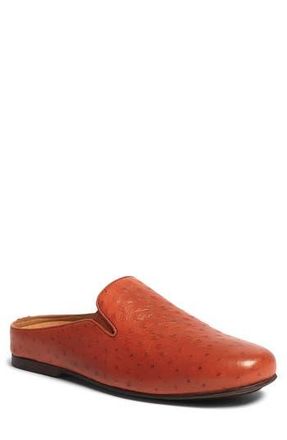 Carlos By Carlos Santana Achilles Ostrich Embossed Leather Mule at Nordstrom Rack, Size 7.5