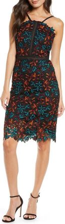 Chi Chi London Payge Halter Neck Lace Cocktail Dress in Black at Nordstrom, Size 6