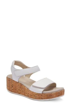 Ara Rosepetal Platform Wedge Sandal in White/Natural at Nordstrom, Size 9.5-10Us