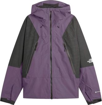 The North Face The North Face HKe Spectra GORE-TEX Mountain Light Jacket Endless Dusk NF0A8EUKG5O