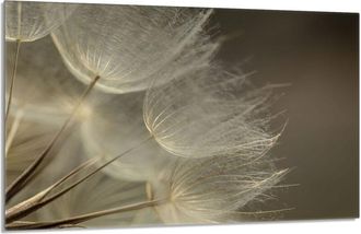 OEM Placa De Protecci&oacute;n De Estufa De Vidrio 80x52 Flor