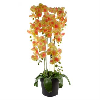 Leaf 110cm Large Yellow Peach Orchid Plant - Artifcial - 41 REAL TOUCH flowers in Green