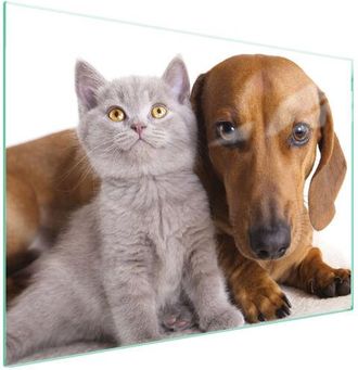 OEM Placa Protectora De Vidrio Para Estufa 70x52 Animales