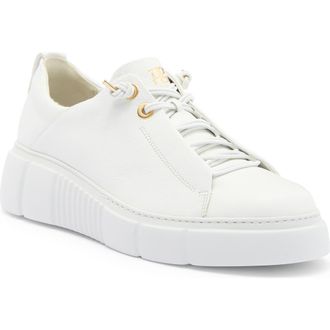 Paul Green Abbey Sneaker in White Leather at Nordstrom, Size 8Us