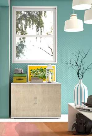 Dmora Armario Multiusos Bucaneve, Mueble Lineal De 2 Puertas Batientes Con Balda, Muebles De Entrada, Zapatero Moderno, 100% Made In Italy, Cm 90x45h66, Rob