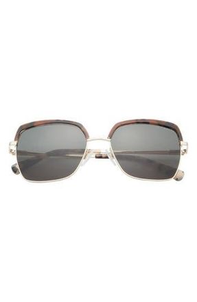 Ted Baker 55mm Square Sunglasses in Tortoise at Nordstrom Rack