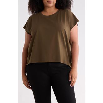 Eileen Fisher Crewneck Short Sleeve Box Top in Branch at Nordstrom Rack, Size 2X