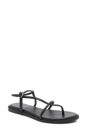 Free People Corsica Ankle Strap Sanal in Black Tide at Nordstrom, Size 9.5