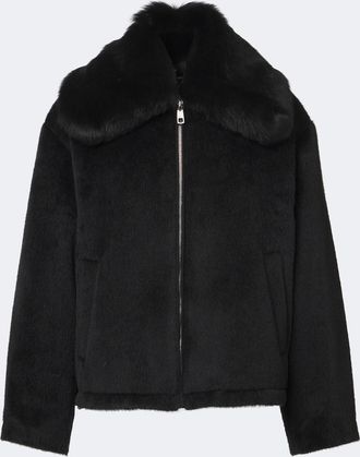 Dolce & Gabbana Shearling-trimmed alpaca and wool jacket