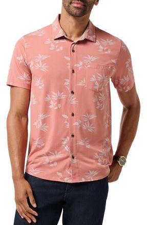 Travis Mathew Comfortknit Yoyage Short Sleeve Button-Up Shirt in Brick Dust at Nordstrom, Size Small
